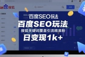 百度SEO玩法，搜狐关键词覆盖引流精准粉，日变现1k+【揭秘】