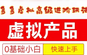 25拼多多虚拟资料高级进阶玩法，小白也能快速上手，保姆级教程