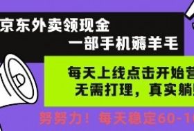 京东外卖领现金，一部手机薅羊毛，每天上线动动手指，无需打理，每天保底60+，每天就是如此轻松【揭秘】