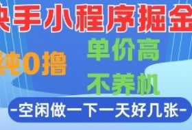 快手小程序掘金，纯0撸，单价高不养机 利用空闲时间做一做，一天好几张【揭秘】