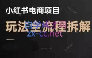 菲菲老师·小红书电商玩法（更新5月）