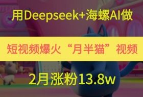 用Deepseek+海螺AI做短视频爆火“月半猫”视频，2月涨粉13.8w