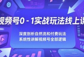 视频号0-1实战玩法线上课，深度剖析自然流和付费玩法，统性讲解视频号全部逻辑