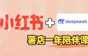 三九老师·小红书+Deepseek