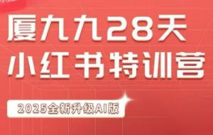 夏九九·28天小红书特训营（第26期）