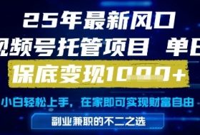 25年最新风口，视频号托管项目，单日保底变现1k+，手把手教学【揭秘】