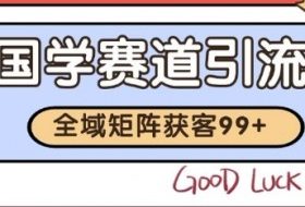 小红书某音国学赛道引流获客 自热矩阵日引200+【揭秘】