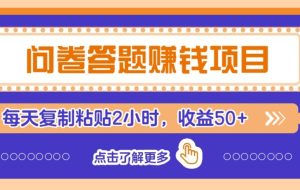 问卷答题赚钱项目新平台，新手小白也能操作，每天复制粘贴2小时，收益50+