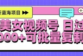 视频号AI美女跳舞暴力起号玩法，日入1k+，全程软件操作，小白也能玩的项目