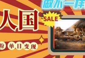 DeepSeek+绘图+视频制作小人国微观视频，小白轻轻松松上手，条条爆款，条条变现，单日就能收益