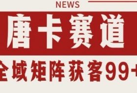 小红书某音唐卡赛道引流获客 自热矩阵日引200+【揭秘】
