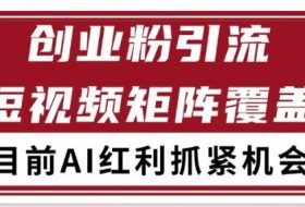 小红书某音创业赛道引流获客 自热矩阵日引200+【揭秘】