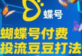 2025蝴蝶号付费投流豆豆打法，助新手快速掌握付费流量撬动自然流的核心玩法