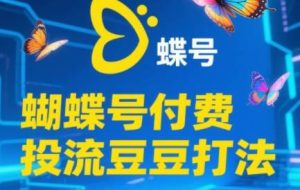 渔财老师·2025蝴蝶号付费投流豆豆打法