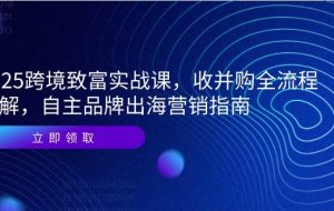 （14975期）2025跨境致富实战课，收并购全流程拆解，自主品牌出海营销指南