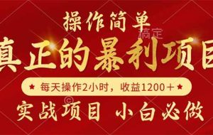 （14978期）真正的暴利项目，操作简单，每天收益1200＋，自己做老板