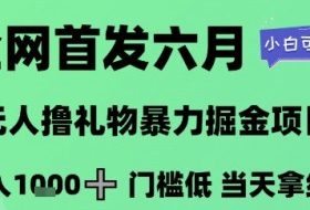 全网首发六月，无人撸礼物暴力掘金项目，日入1K+门槛低，当天拿结果，小白可玩【揭秘】