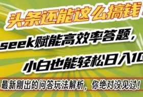 头条还能这么搞钱？最新刚出的问答玩法解析，你绝对没见过！Deepseek赋能高效率答题，小白也能轻松日入1k+