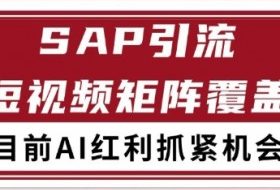 小红书某音sap赛道引流获客 自热矩阵日引200+【揭秘】