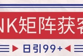 小红书某音NK赛道引流获客 自热矩阵日引200+【揭秘】