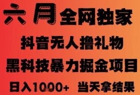 25年6月抖音无人直播最新暴力撸音浪掘金，小白可做，可批量矩阵放大，长期稳定日入1k+【揭秘】