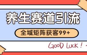 小红书某音养生赛道引流获客 自热矩阵日引200+