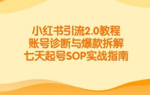 （14981期）小红书引流2.0教程，账号诊断与爆款拆解，七天起号SOP实战指南