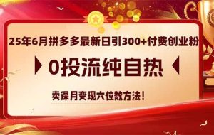 （14989期）25年6月拼多多最新日引300+付费创业粉，0投流纯自热 卖课月变现六位数方法