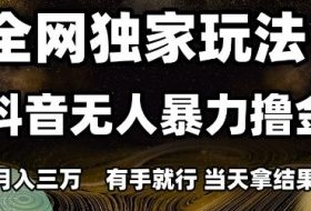 全网独家玩法抖音无人暴力撸金，月入3W，有手就行，当天拿结果【揭秘】