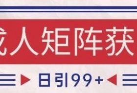 小红书某音橙人赛道引流获客，自热矩阵日引200+【揭秘】