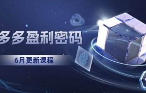 （15005期）拼多多盈利密码：从烧钱推广到印钞模型，底层逻辑重构指南（6月更新）