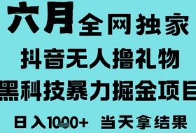 25年6月高爆抖音无人直播最新撸音浪掘金项目，门槛低小白可做，无脑日入1k，可矩阵放大【揭秘】