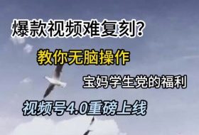 视频号4.0重磅上线，爆款视频难复刻？教你无脑操作宝妈学生党的福利【揭秘】