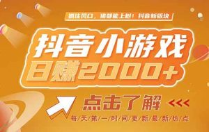 （15030期）2025最新风口项目，抖音小游戏，亲测单游戏2000+感兴趣点击了解