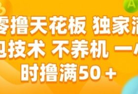 零撸天花板，独家满包技术 不养机 一小时撸满50+【揭秘】