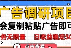 广告调研项目，会复制粘贴广告即可，任务无限量，日收益稳定5张【揭秘】