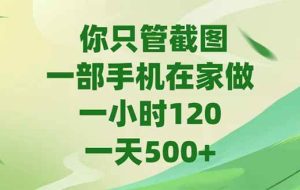 （15039期）你只管截图，一部手机在家做，一小时120，-天500+