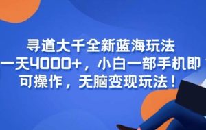 （15050期）寻道大千全新蓝海玩法，一天4000+，小白一部手机即可操作，无脑变现玩法！