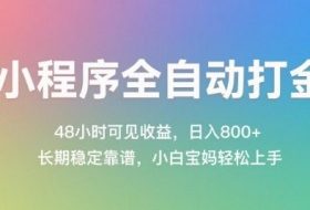小程序全自动打金，48小时可见收益，日入几张，长期稳定靠谱，简单易上手【揭秘】