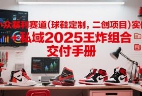 小众暴利赛道(球鞋定制，二创项目)实体+私域2025王炸组合  交付手册