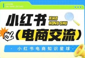 红薯电商知识星球，小红书电商交流
