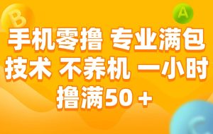 （15059期）手机零撸 专业满包技术 不养机 一小时撸满50+