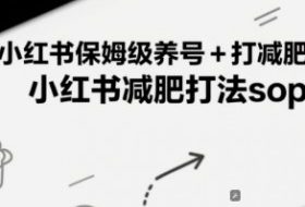小红书保姆级养号+打减肥粉，小红书减肥打法sop