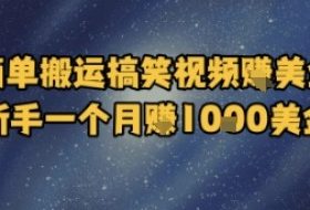 简单搬运搞笑视频挣美金，新手一个月入1k美金
