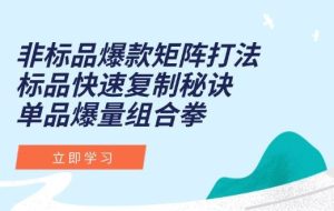 （15068期）非标品爆款矩阵打法，标品快速复制秘诀，单品爆量组合拳