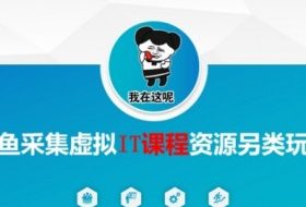 闲鱼采集虚拟IT课程资源另类玩法，干货满满