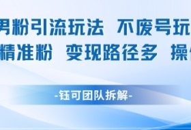 小红书男粉引流玩法不废号玩法日引100男粉变现路径多操作简单