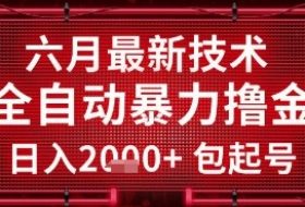 六月最新技术全自动暴力撸金，稳定日入2k+包起号，长期稳定【揭秘】