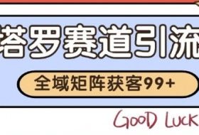小红书某音塔罗赛道引流获客 自热矩阵日引200+【揭秘】