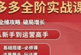 拼多多全阶实战课程，全维攻略，破局增长，从新手到运营高手